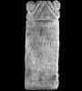 RIB1228