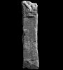 RIB1253
