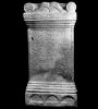 RIB1396