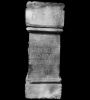 RIB1599