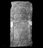 RIB1618