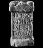 RIB1799