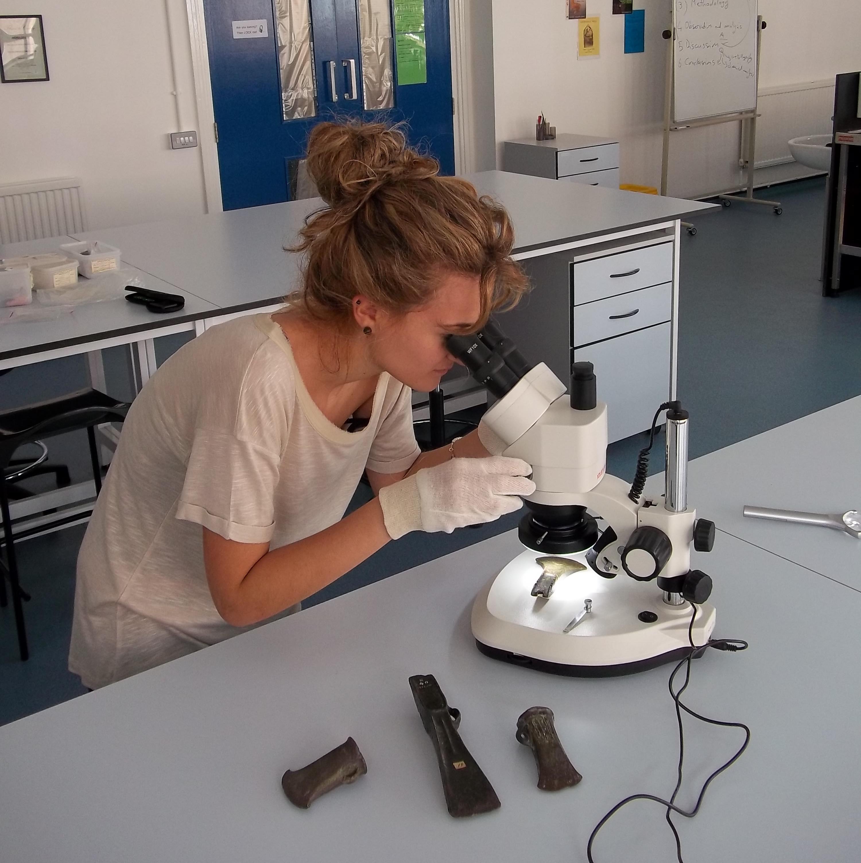 lab